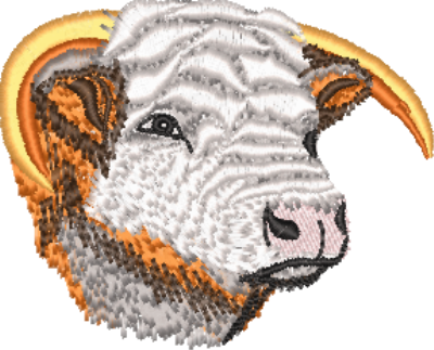 Hereford Bull Head