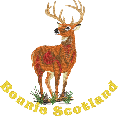 Stag Bonnie Scotland 