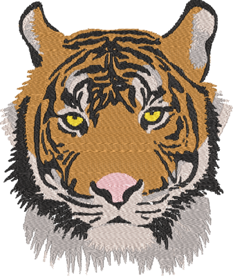 Large Tiger